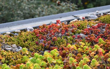 the cost of Great Torrington green roof installation