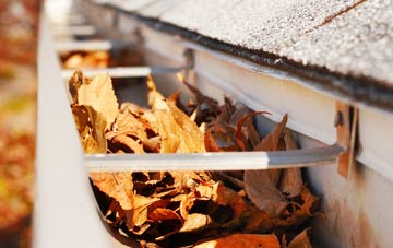 Great Torrington gutter cleaning companies