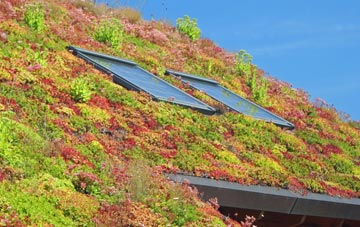 Great Torrington living roof systems